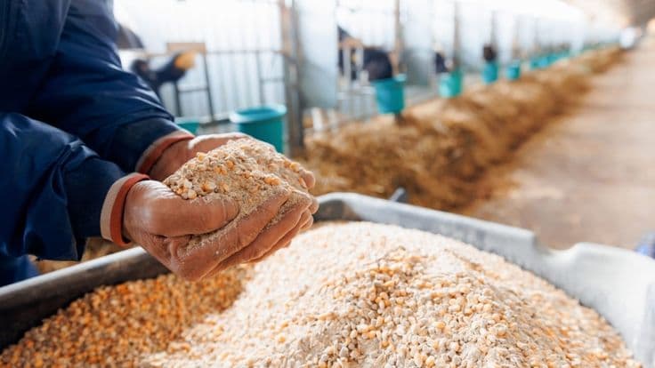 Feed Inventory Tracking